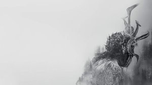 undefined Images